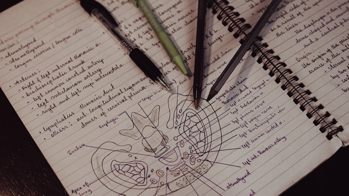 menu engineering estrategia en contexto real
